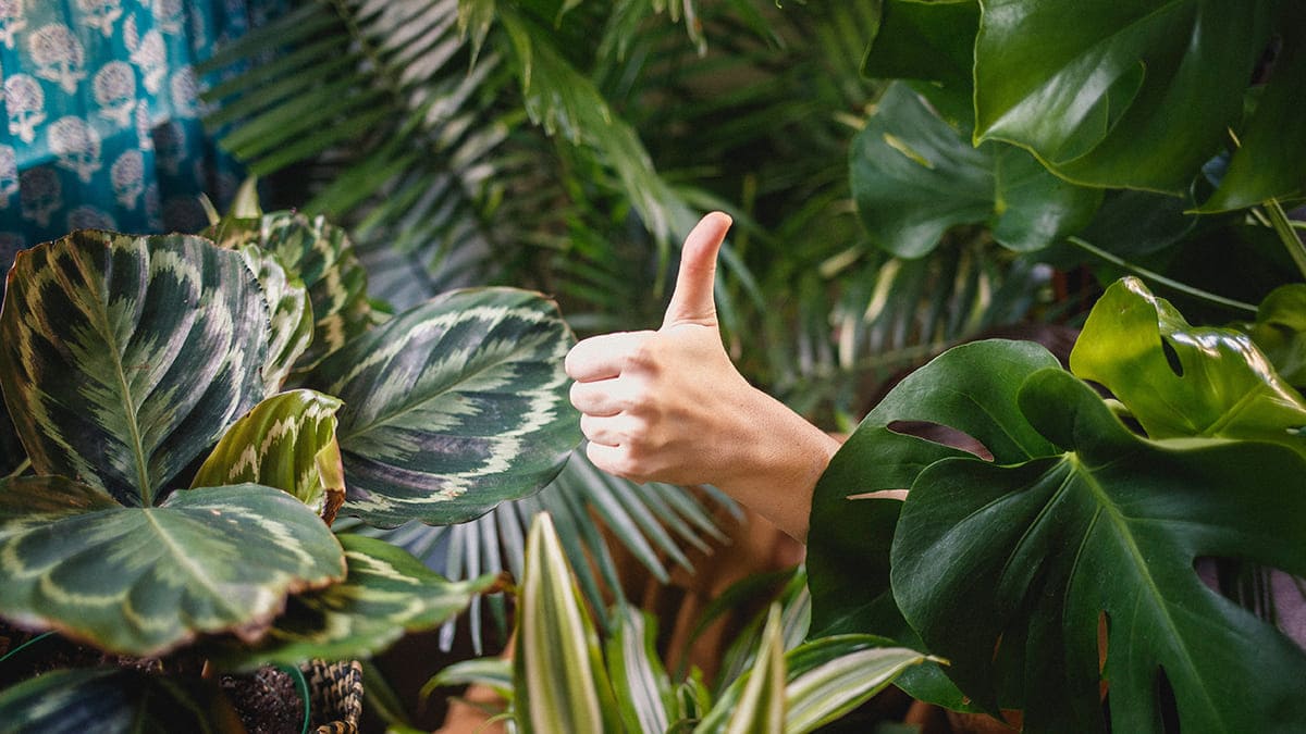 10 astuces pour créer du contenu de qualité sur le web